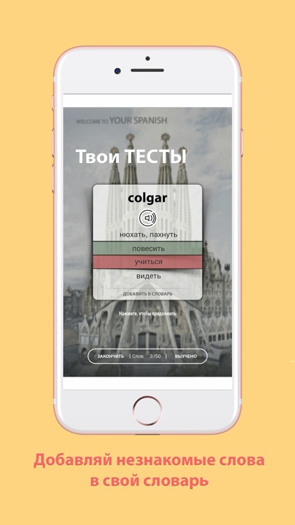 Your Spanish - учи испанские слова легко!