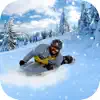 VR Speed Slide Snow 2017 : For VR Card Board contact information