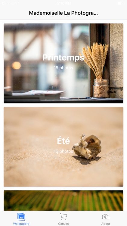 Mademoiselle La Photographe Wallpaper