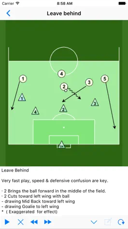 Game screenshot Soccer Playview hack