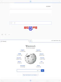 CoSurf: 2-person simultaneous web browser iPad image 1