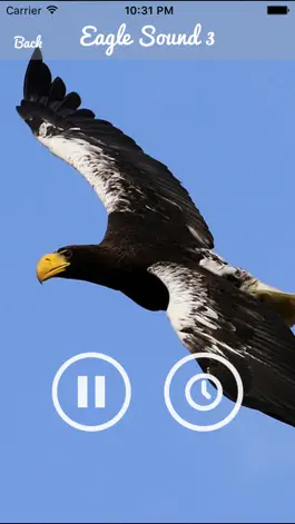 Game screenshot Eagle sounds – Bald Sound hack