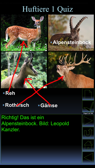 iWildlife Wildlife Screenshot