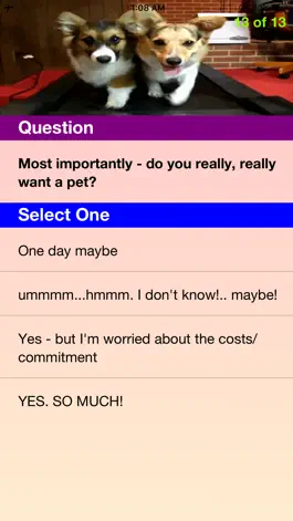 Game screenshot Planning a Pet hack