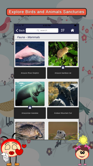 South America SMART Guide(圖5)-速報App