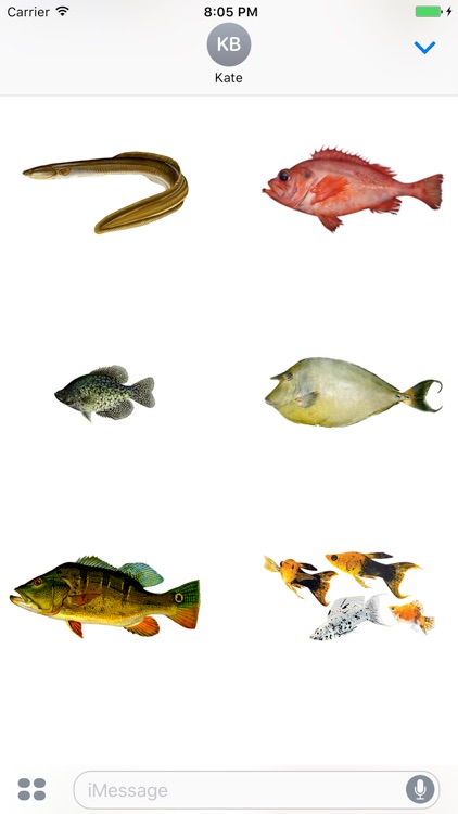 Fish School Stickers screenshot-3