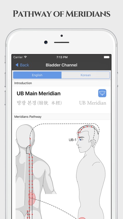 Acu Pro - The Acupuncture Bible screenshot-4