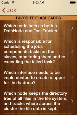 Big Data Hadoop Flashcards screenshot 4
