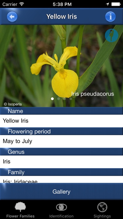 Wild Flower Id Netherlands screenshot-3