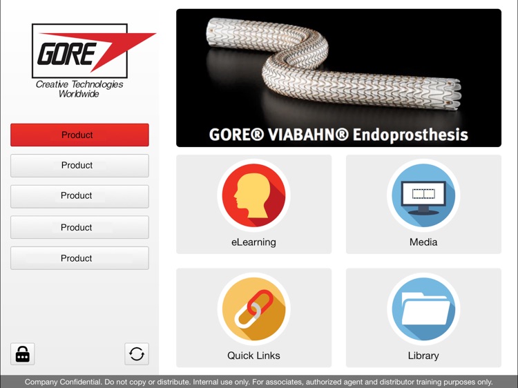 FS Vascular Learning