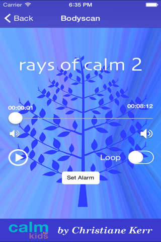 Rays Of Calm 2 by Christiane Kerr screenshot 2
