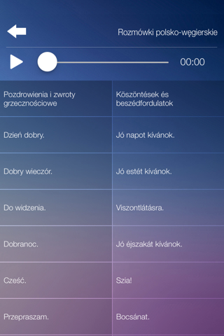 Rozmówki polsko-węgierskie screenshot 3