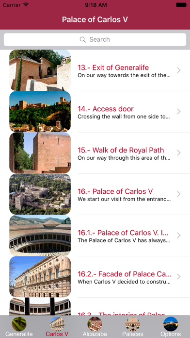 Guía Alhambra Granavisión Screenshot