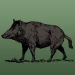 Wild Hog Sounds App Negative Reviews