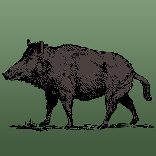 Wild Hog Sounds icon