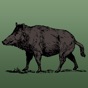 Wild Hog Sounds app download