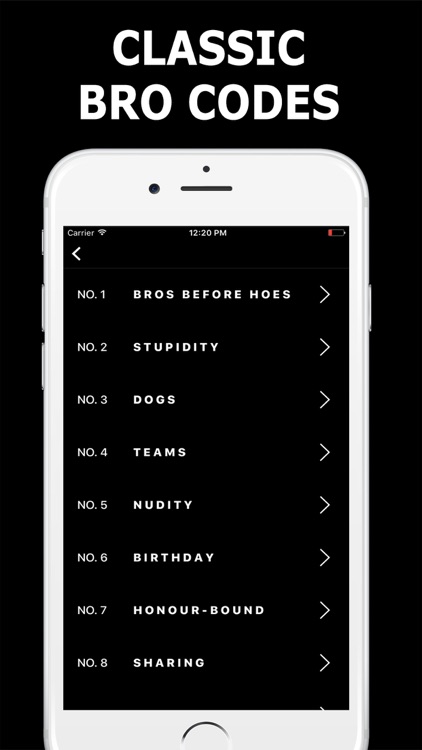 THE BRO CODE - A LIVING BIBLE FOR REAL MEN (BROS)