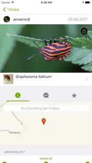 INaturalist Classic iphone bilder 0