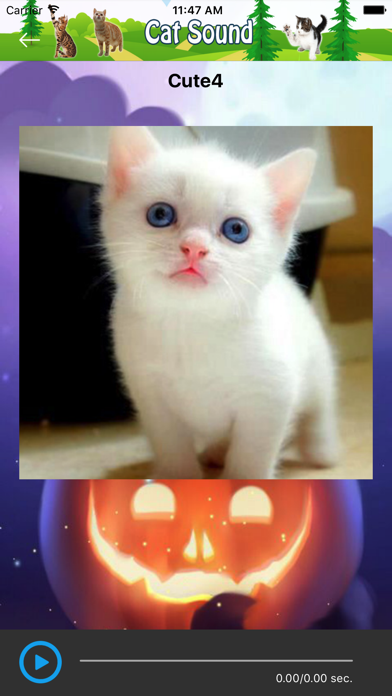 Cat Sounds and Music Screenshot