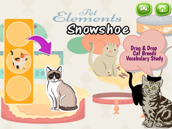 Screenshot #4 pour Chats et chatons ombre Matching Game