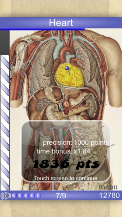 Speed Anatomy Lite (Quiz)