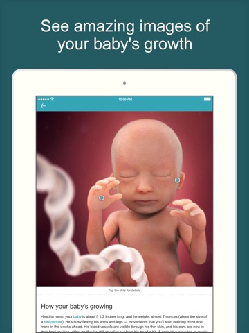 Pregnancy Tracker - BabyCenter screenshot 2