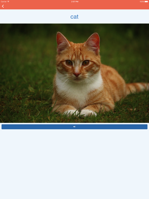 Screenshot #6 pour Learn the Animals Flash Cards Pro