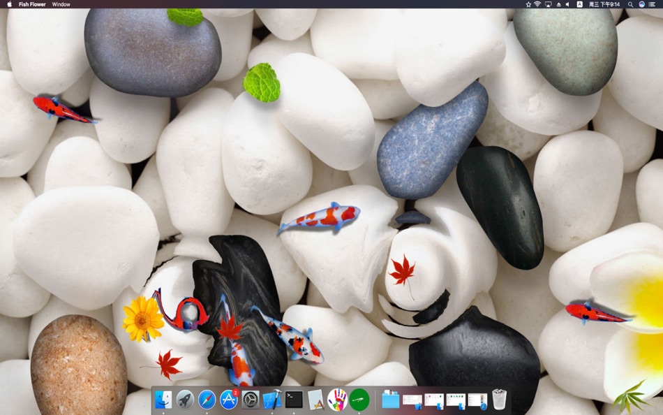 Fish Flower-Live Wallpaper,Dynamic desktop - 1.3.0 - (macOS)