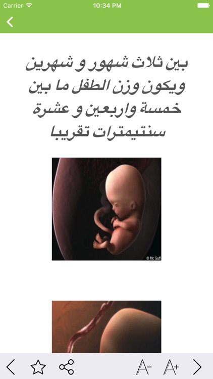 Pregnancy - الحمل والولادة
