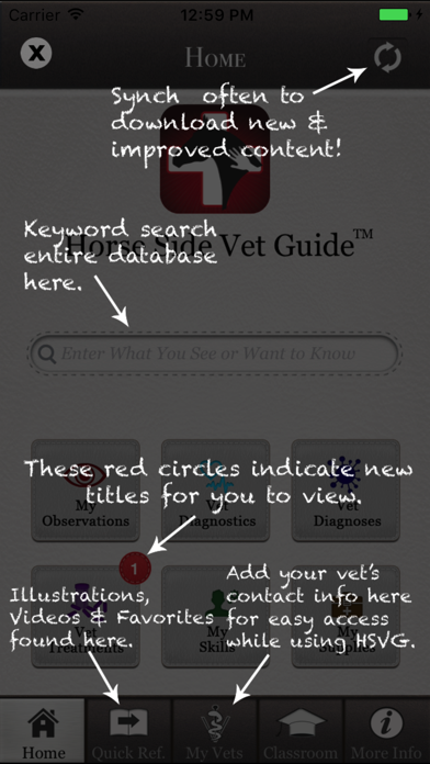 Horse Side Vet Guide Screenshot