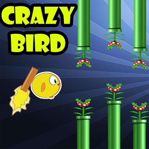 Crazy Bird 2017 HD icon