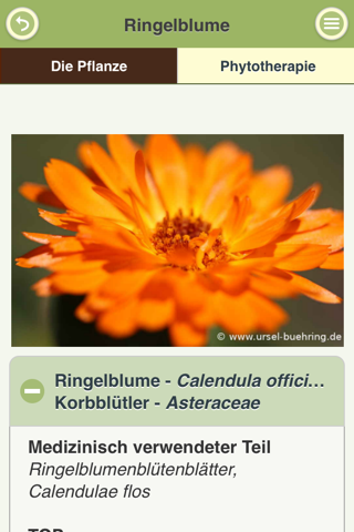 PhytoApp - Heilpflanzenwissen screenshot 2