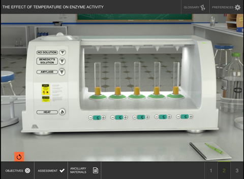 Factors Affecting Enzyme Act 1 screenshot 3