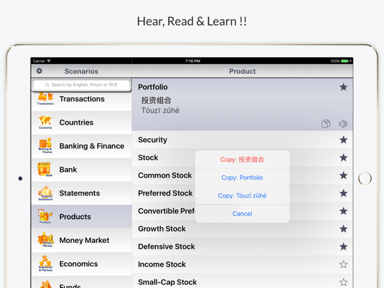 Financial Chinese - Phrases, Words & Vocabulary iPad screenshot