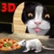 Cat Vs Mouse Simulator 3D