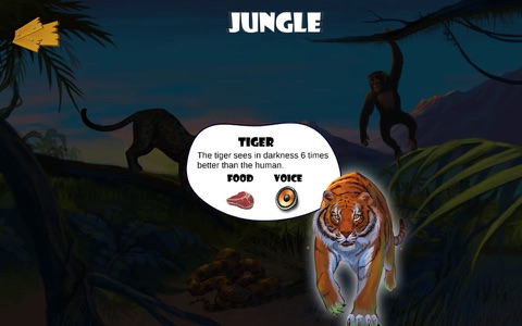 Blini Kids Animals - náhled