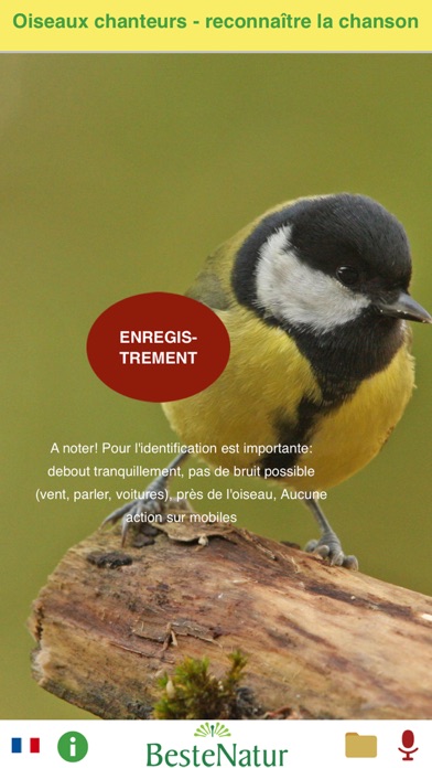 Oiseaux chanteurs - reconnaître la chanson Oiseaux chanteurs - reconnaître la chanson