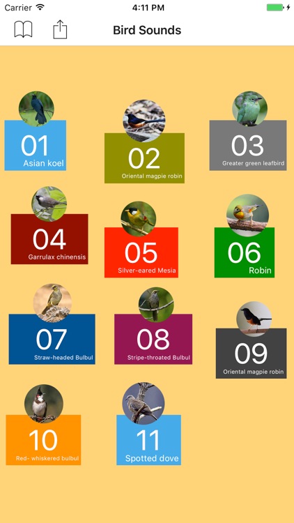 Bird Sounds From Thailand