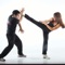 Take a master class in Krav Maga with this collection of 500 tutorial and informative videos