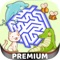 Classic Labyrinth Animal Game – Pro