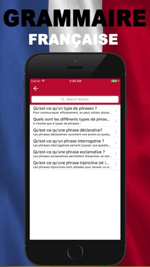 Grammaire Francaise(圖3)-速報App