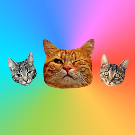 Cat Stickers for iMessage : Cats & Cat Heads