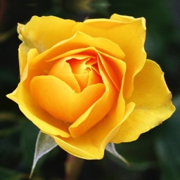 Fairytale Mosaics. Beauty and the Beast's puzzles