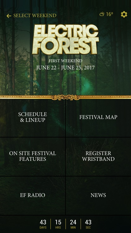 Electric Forest Festival