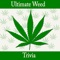 How much do you know about Marijuana