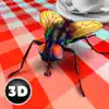 House Fly Insect Survival Simulator delete, cancel