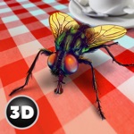 Download House Fly Insect Survival Simulator app