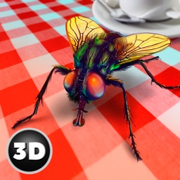 House Fly Insect Survival Simulator
