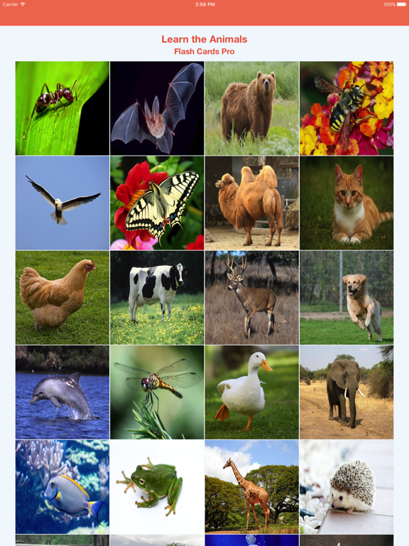 Screenshot #4 pour Learn the Animals Flash Cards Pro