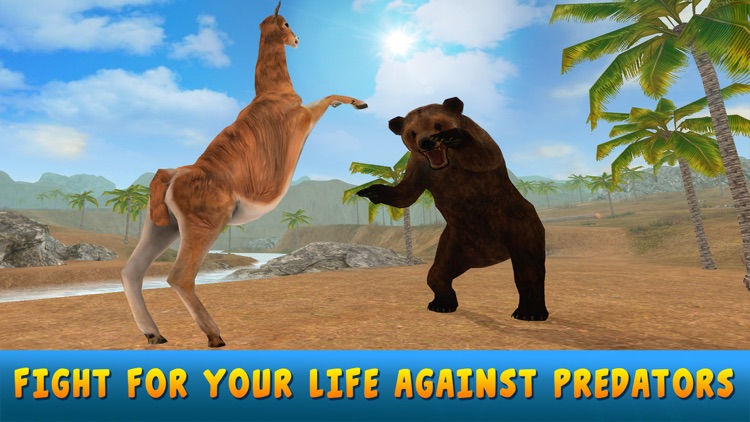 Alpaca Survival Simulator 3D
